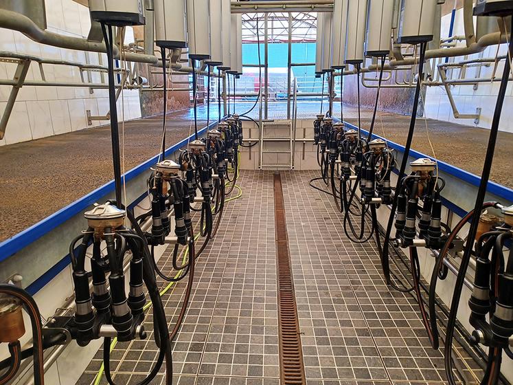 Une configuration raisonnée de la salle de traite est primordiale pour le confort du trayeur et pour celui de l’animal.