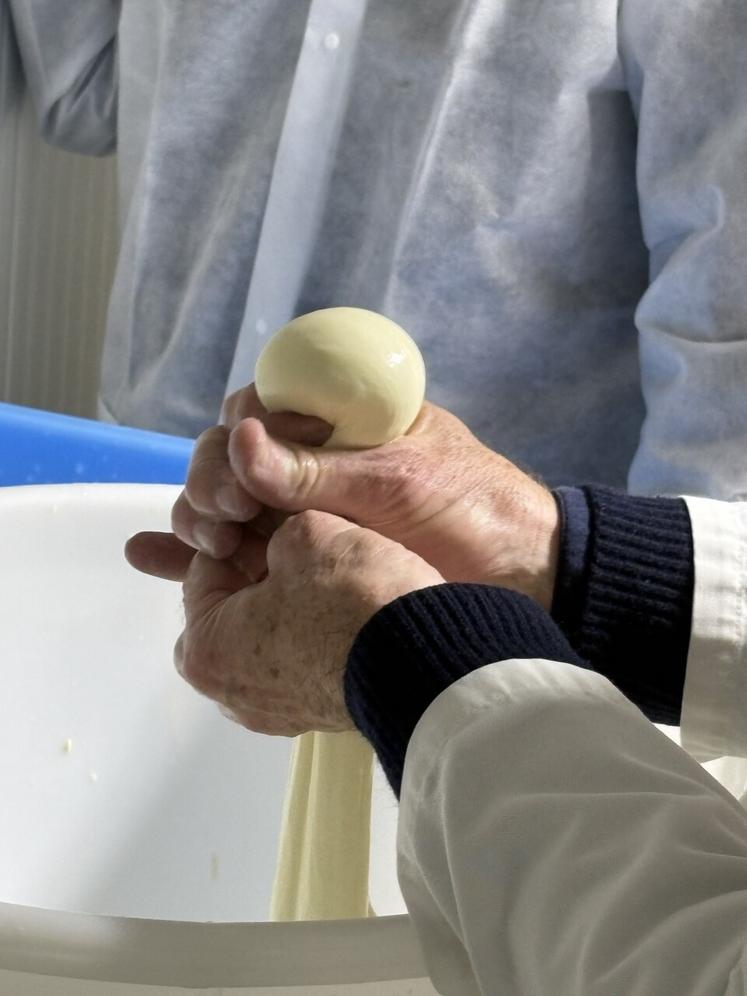Le façonnage de la boule de mozzarella, un coup de main à prendre. Surtout pas de traces de doigts !