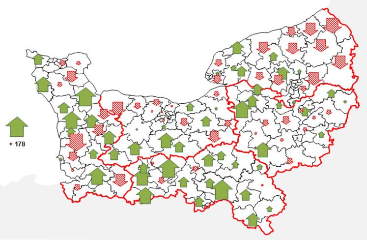 Bœufs vendus en boucherie par an - évolution du nombre de têtes vendues entre 2024 et 2025 par canton. Observatoire des élevages bovins en Normandie, unité : têtes en +/-.