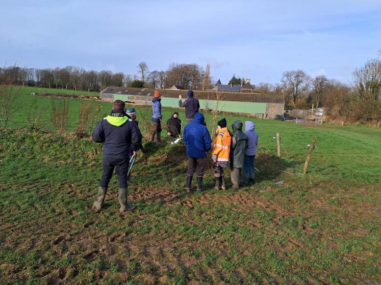 Taille de formation sur une jeune haie à Virandeville dans la Manche.