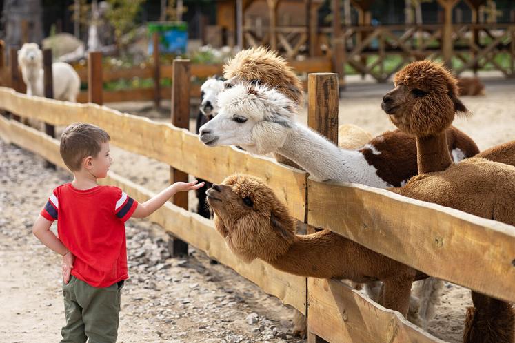 Diverses animations sont prévues lors de ce printemps à la ferme et concernent tous les publics.