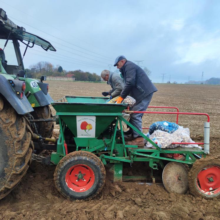 L'objectif est de récolter près de 85 % des fleurs pour transformer chaque pétale en don pour la recherche.