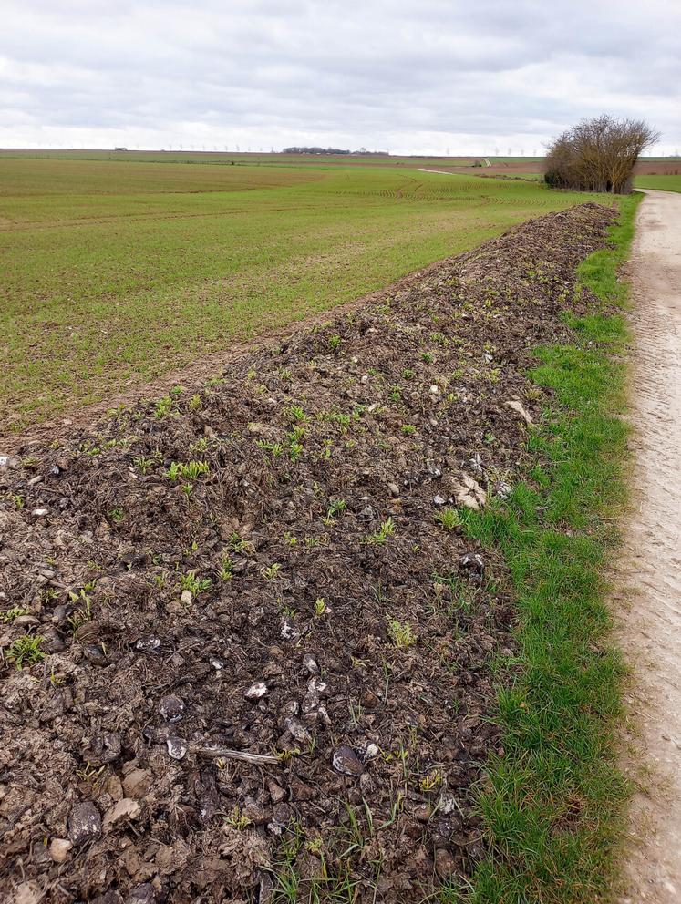 Déchets de déterrage.
