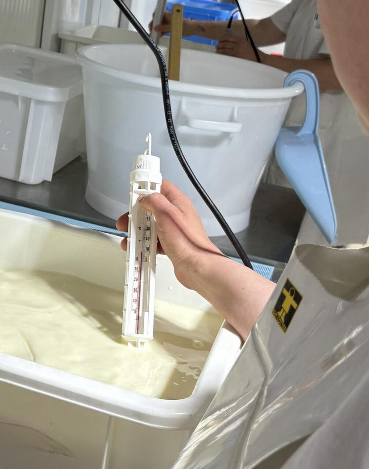 Le pH-mètre est indispensable. « Il faut des valeurs de pH bien spécifiques pour filer et éviter le déchirement du caillé. » 