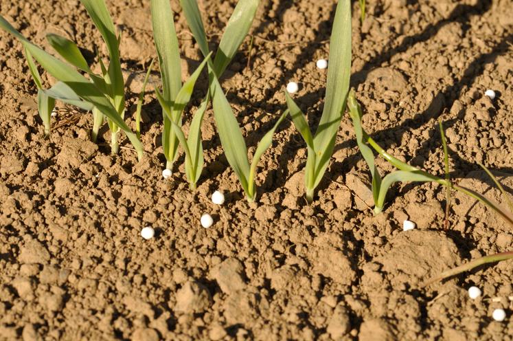 Les conflits mondiaux perturbent la production d'engrais, c'est ce qui a poussé la FNSEA 76 à échanger avec des responsables de LAT Nitrogen pour en mesurer les impacts.