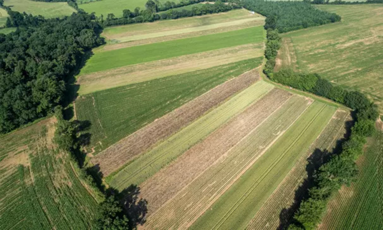 Vue aérienne des supports d'essais.