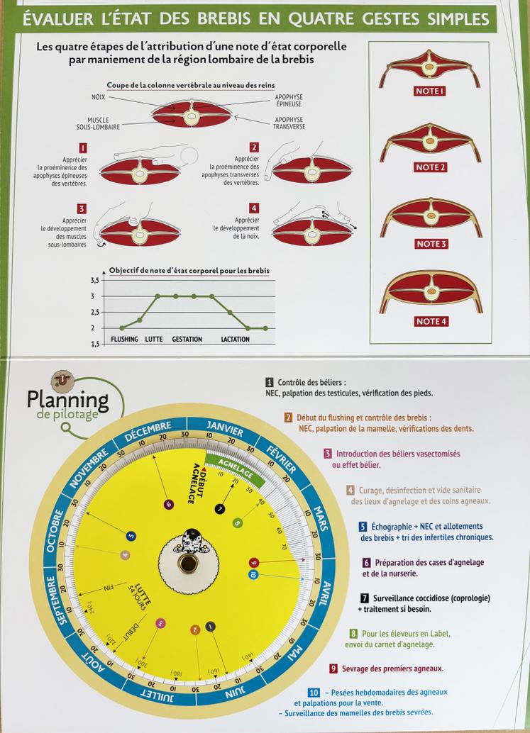 Les éleveurs sous signe de qualité peuvent aussi s'appuyer sur le disque pour aligner leurs agnelages avec les périodes de livraison inscrites dans les cahiers des charges.