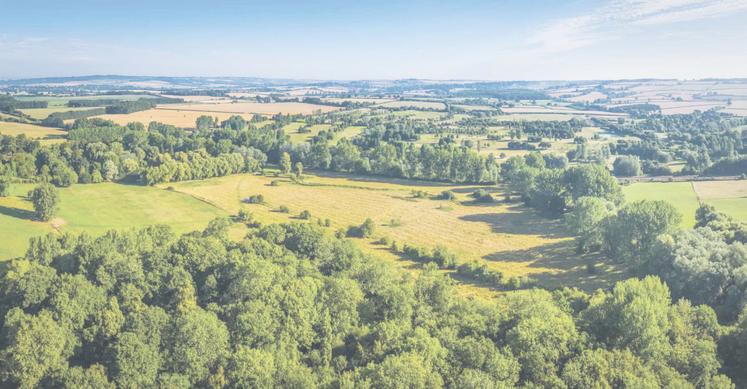 En 2025, le prix des terres agricoles atteint un niveau record, porté par la hausse des grandes cultures malgré le recul de certains secteurs d'élevage.