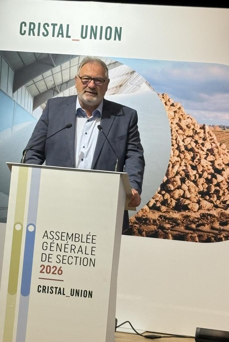 « Le climat de l'année 2025 a permis à la betterave de refaire des feuilles et de résister aux viroses », dixit William Huet, directeur agricole de Cristal Union.