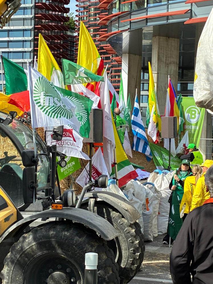 Plusieurs syndicats agricoles européens se sont joints à la manifestation.