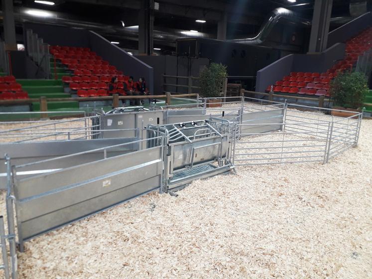 Cage de retournement intégrée dans un parc de contention.