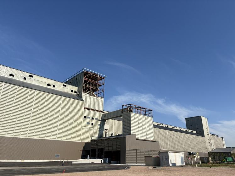 40 % du volume collecté à La Maison Bleue vient de Normandie, en camion principalement. « La qualité est très satisfaisante en orge de brasserie en Normandie. Pour le blé, il nous faut compléter avec des qualités qui viennent de régions où les taux de protéines sont plus élevés », précise Florent Beuzelin. Le nouveau silo permet une capacité totale de plus de 130 000 tonnes.