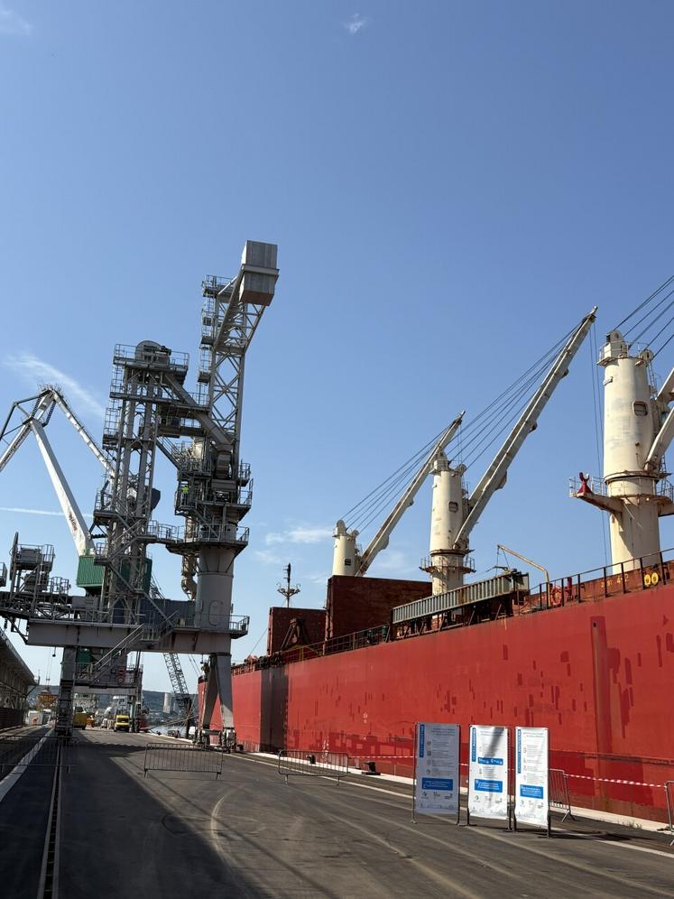 Supramax de 190 mètres de long qui nécessite un tirant d'eau approfondi. Ce navire est chargé pour la meunerie africaine avec trois qualités différentes : du blé tendre meunier, du blé tendre à 12,5 de protéines et du blé dur.