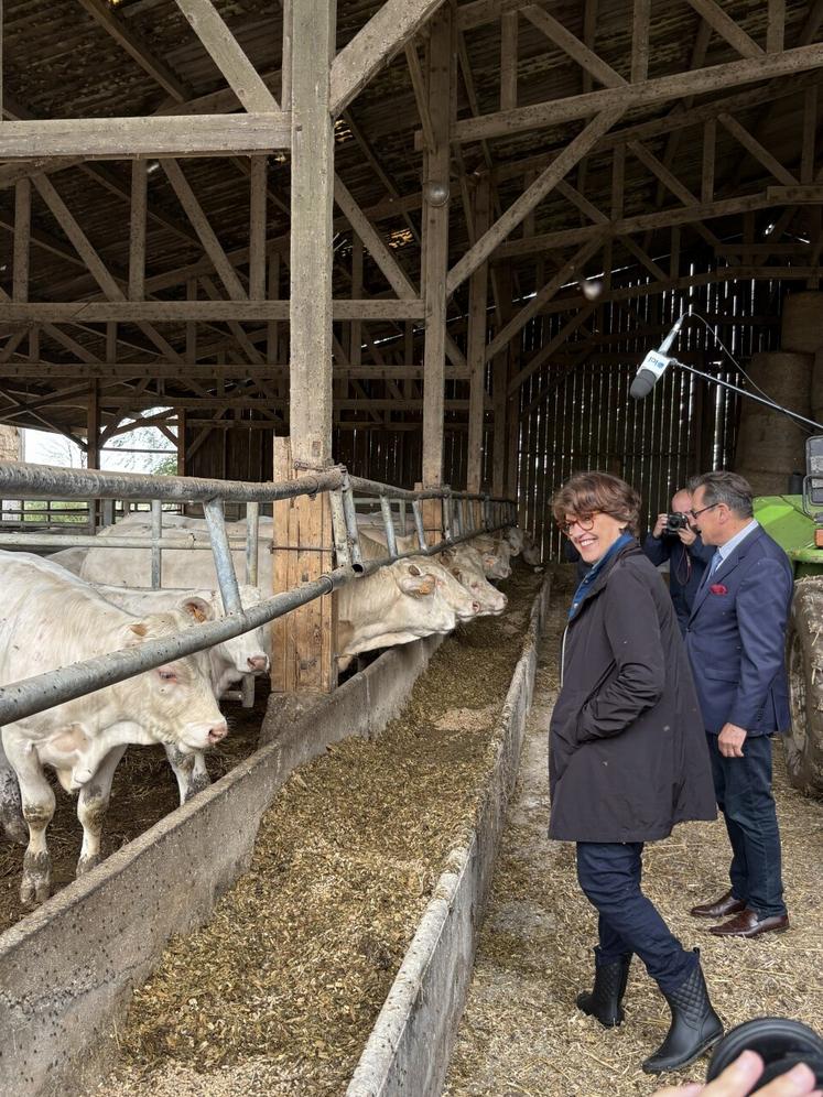 Depuis 2000, il y a une baisse régulière de toutes les productions animales, lait et viande. Il faut produire à nouveau et la Normandie coche toutes les cases pour le faire.