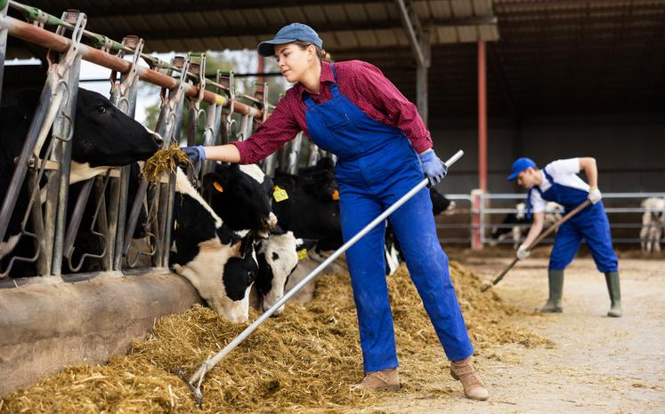 L'accueil de stagiaires et d'apprentis est un levier essentiel pour assurer le renouvellement des générations en agriculture, transmettre les savoir-faire et former les professionnels de demain.