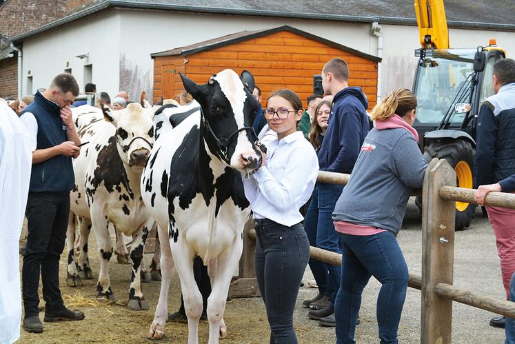 La préparation des animaux (dressage, clippage...) a souvent nécessité de longues semaines de travail chez bien des jeunes déjà mordus de concours.