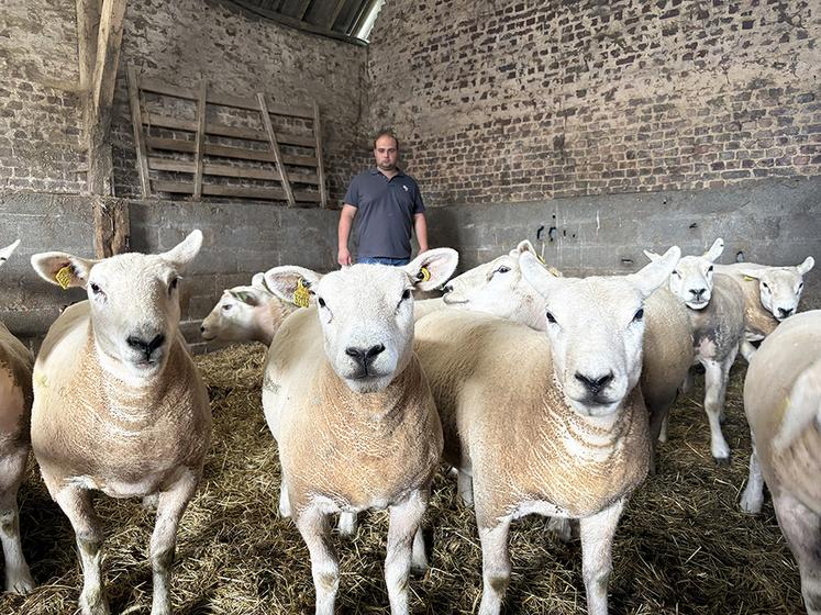 Guillaume Colombel avec ses moutons.