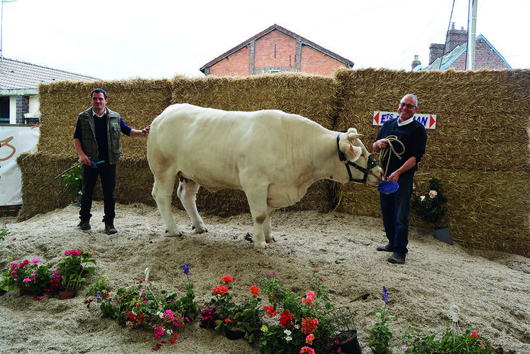 Des animaux d’excellence primés au concours des races à viande.