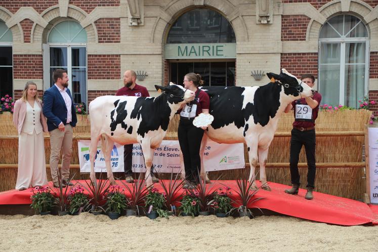 La grande championne du concours de génisses, Vafalda (SCEA de la Voie Lactée - Chambois - 27) et sa réserve Athé CLBC (Gaec Colboc - Villainville).