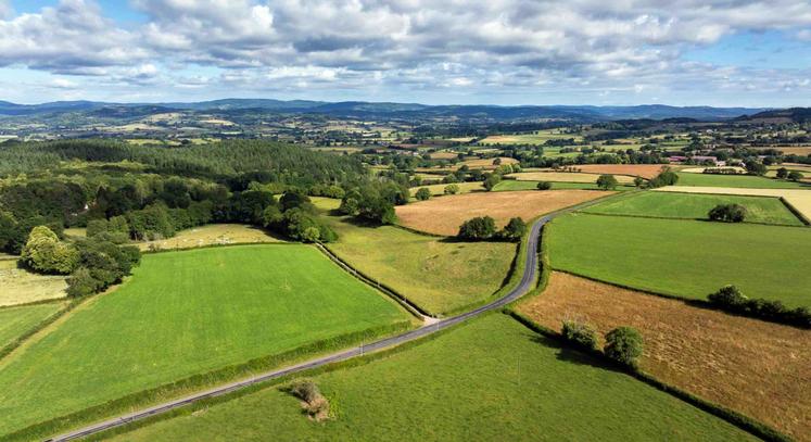 Après une année noire en 2024, l'agriculture française retrouve des couleurs en 2025, malgré des disparités persistantes.
