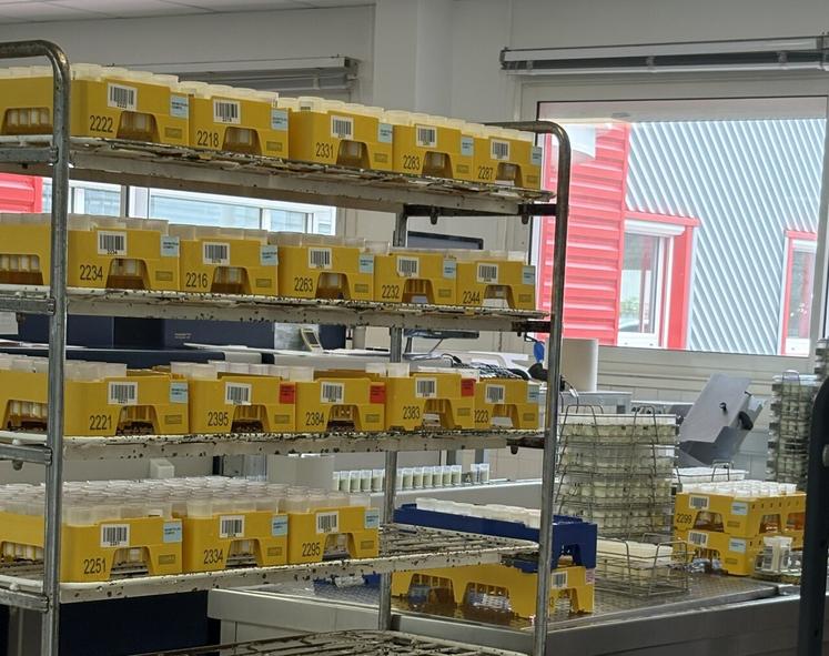 Près de 3 millions d'échantillons sont analysés chaque année, représentant près de 4 milliards de litres de lait.