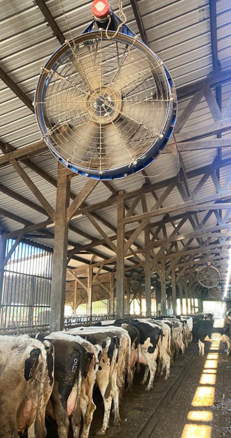 En matière de ventilation, la vitesse de refroidissement de l'air est très importante : « elle doit se situer entre 2,2 et 2,7 mètres par seconde ». 