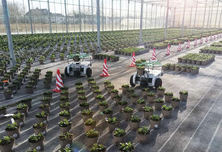 Grâce à son système de guidage laser, Trooper espace les plantes avec précision et peut travailler jusqu'à dix heures en autonomie.