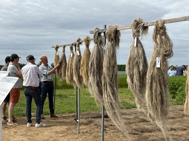 Un salon de filière pour produire du lin européen certifié en quantité et en qualité.