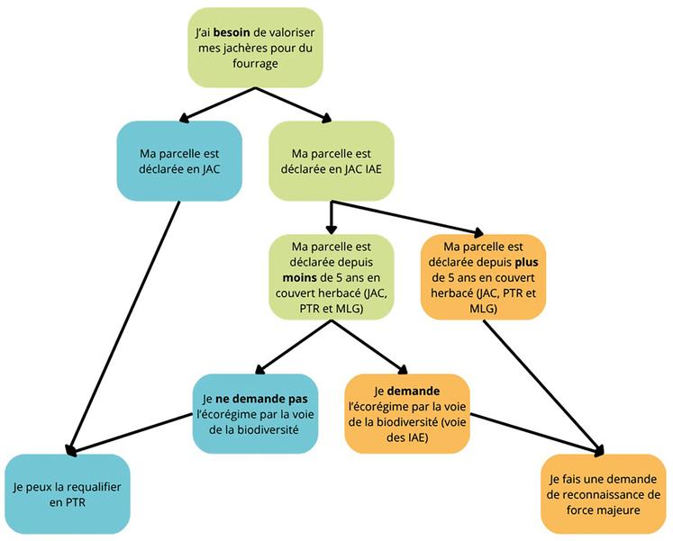 Logigramme des procédures possibles pour la valorisation des jachères pour l'été 2026.