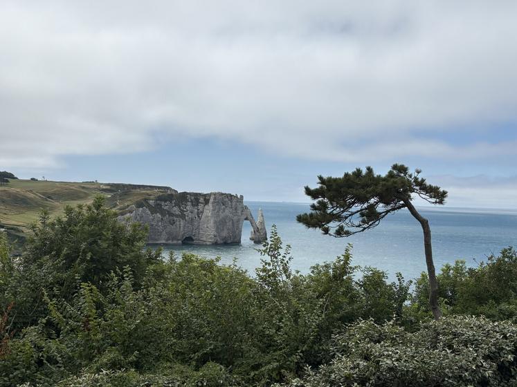 Étretat s'apprête à franchir une étape avec son classement "Grand site de France".