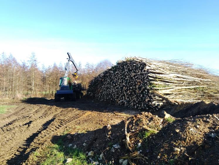 Chantier forestier avec le nouveau porteur et grappin scie.