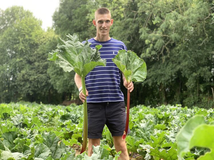 Valentin Vermes et son père Mathieu disposent d'une collection de cent variétés et en commercialisent une dizaine.