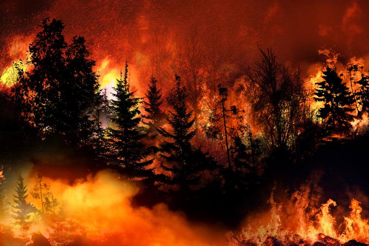 Du jamais vu en Gironde, les feux ont parcouru jusqu'à 42 000 hectares ce lundi.