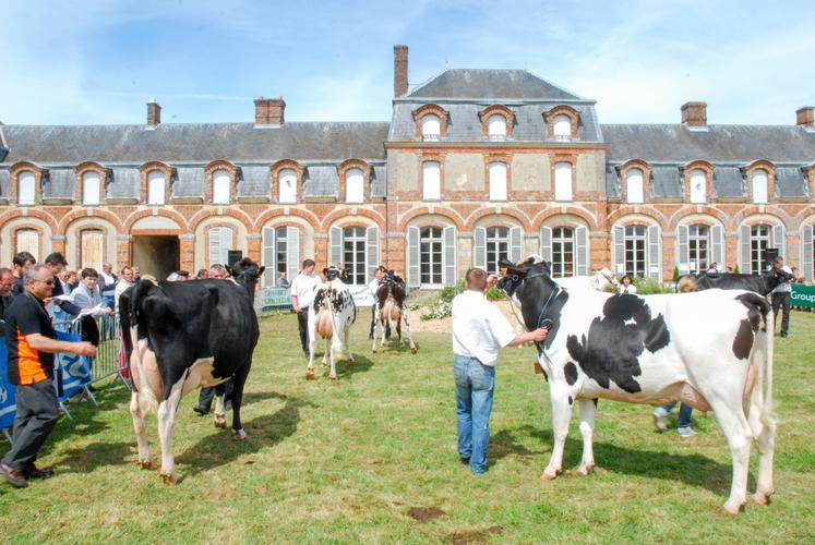 L'élevage fait partie intégrante du Perche eurélien. En 2013, le comice agricole s'est tenu à La Ferté-Vidame. Quoi de plus naturel d'exposer les plus beaux sujets devant le patrimoine du village...