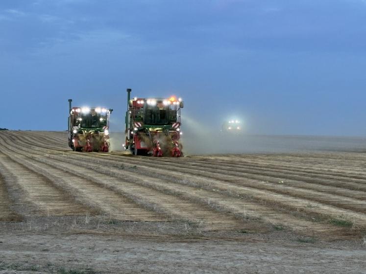 Cette année, 100 chauffeurs ont été recrutés pour conduire les 35 machines de la coopérative.