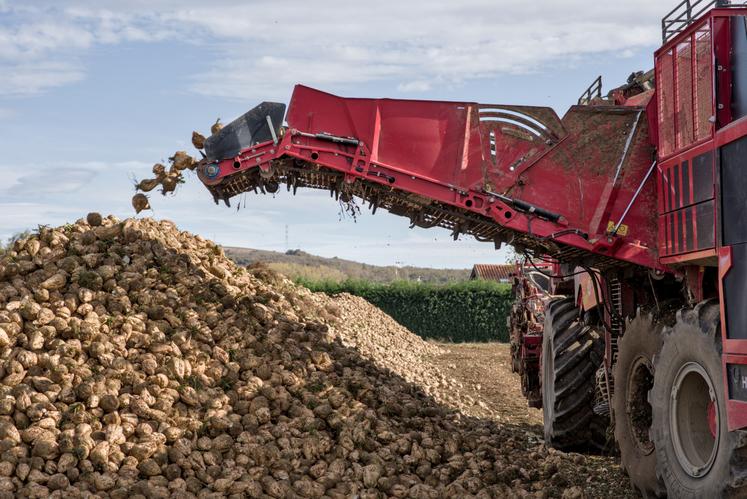 La CGB qualifie de « bonne nouvelle » la validation de l'usage de la flupyradifurone en enrobage de semences. « Cette avancée corrige une distorsion de concurrence avec les 16 autres pays producteurs européens utilisant déjà cette solution ».