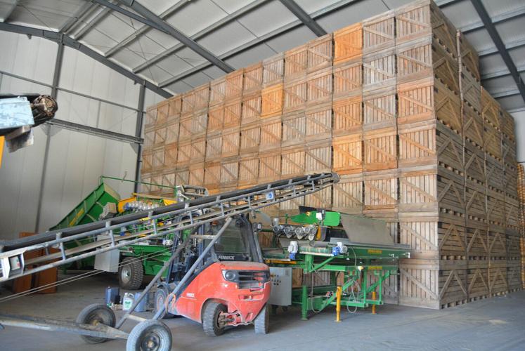 Hall de stockage des palox, du matériel de récolte et de tri.