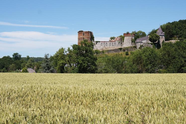 Surplombant le village, le château construit à la fin du IXe siècle, veille.