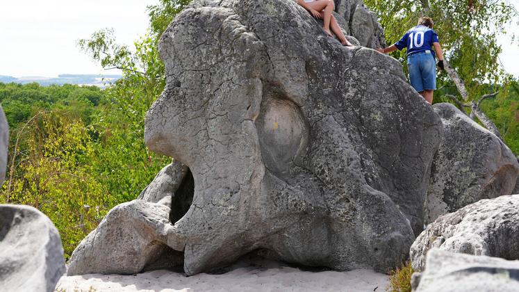 Le singe hurleur.
