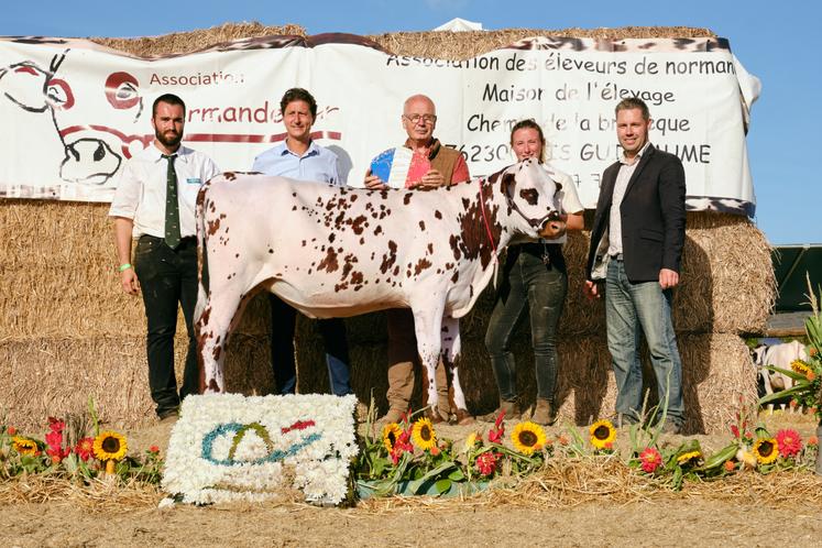 Alfa Romeo, championne normande de l'EARL Delamare.