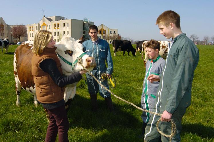 L'enseignement agricole a connu une progression  de ses effectifs de 7 % en cinq ans.