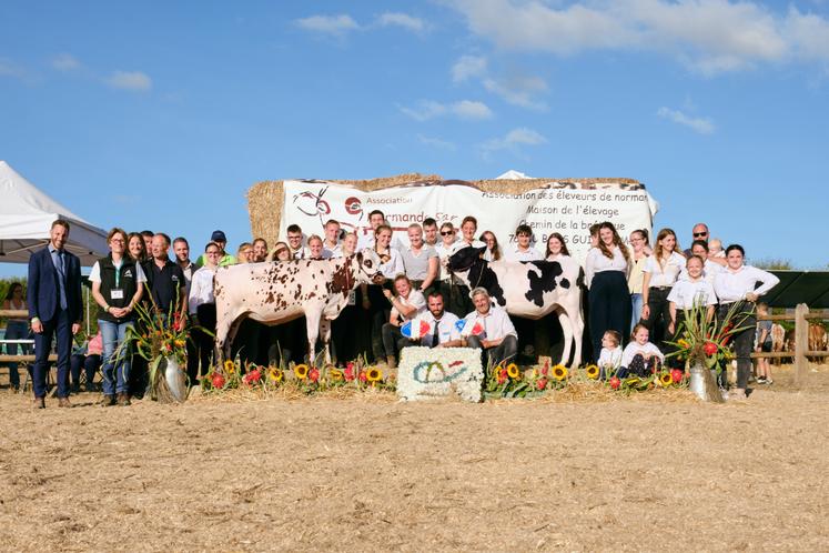 Alfa Romeo, championne normande de l'EARL Delamare, et Ballerine, championne prim'holstein du Gaec de la ferme du Chêne.