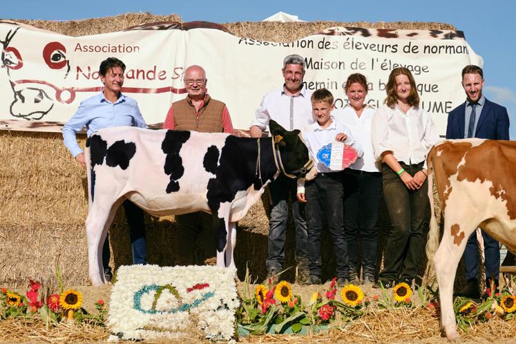 Ballerine, championne prim'holstein du Gaec de la Ferme du Chêne.
