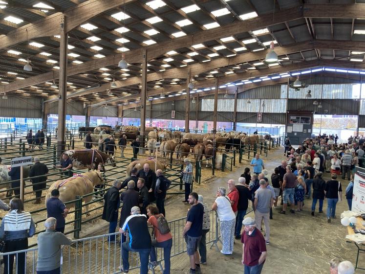 Un public de connaisseurs est venu en nombre sous la halle aux bestiaux.