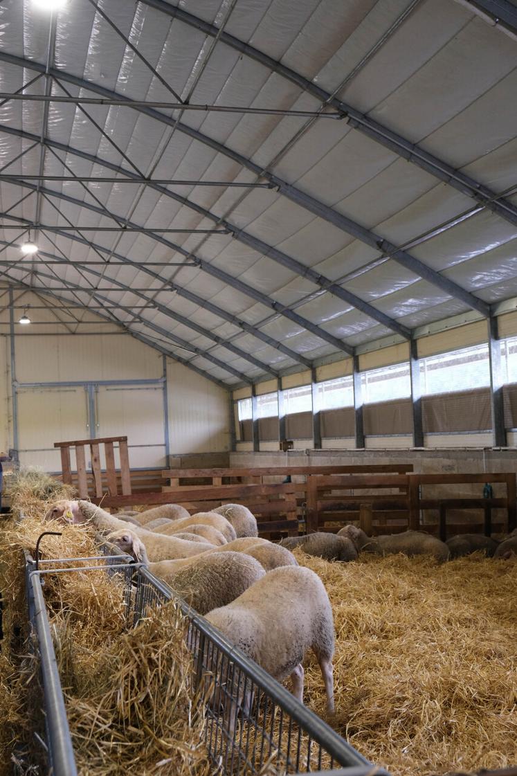 L'éleveuse a opté pour un bâtiment tunnel, plus économique.