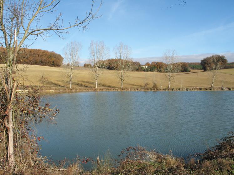 Les retenues d'eau attirent faune et flore.