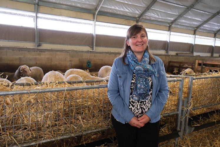 Fiona Carré a fait le choix de transformer elle-même le lait de ses brebis. Dans son atelier de transformation, elle produit des yaourts, des fromages frais et affinés. La lacaune est la race de brebis laitière la plus productive.