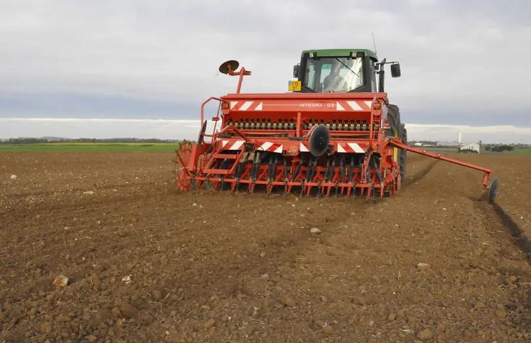 En décalant le semis à la fin octobre ou à début novembre, il est possible de réduire la pression graminée de 50 à 80 % environ selon les conditions.