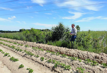 Le 2 juin, l'interprofession de la pomme de terre (CNIPT) a organisé un voyage de presse sur l’exploitation agricole de David Deprez à Auppegard pour montrer que les producteurs de pommes de terre sont sensibles aux enjeux de biodiversité.
