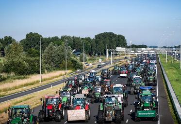 Manifestation des agriculteurs aux Pays-Bas